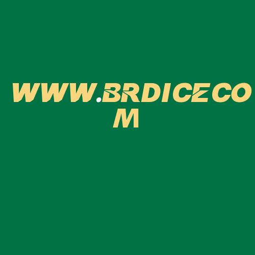 Logo da WWW.BRDICECOM